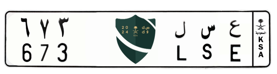 لوحة ع س ل 673